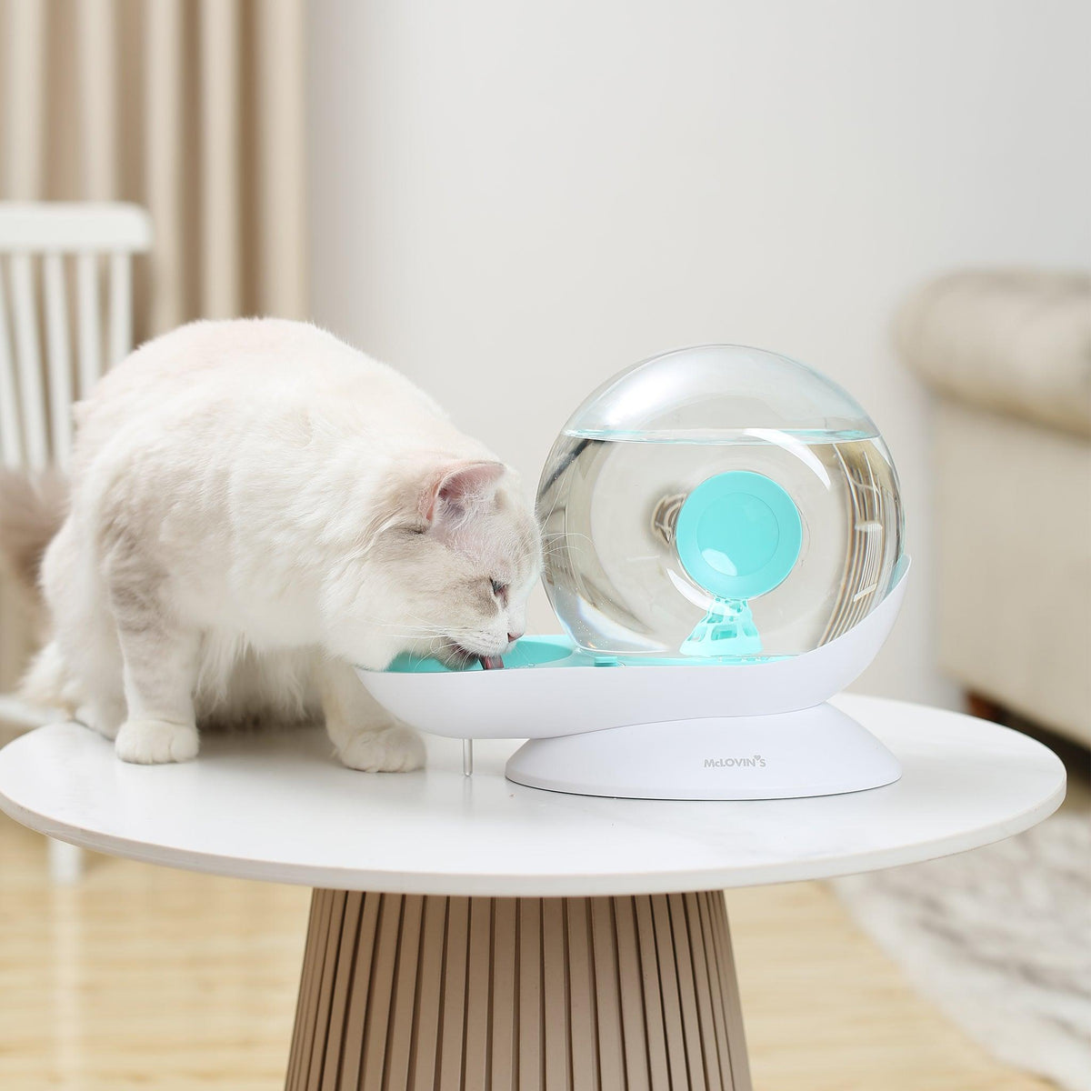 Cat water dispenser best sale