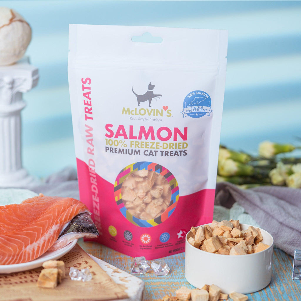 All CatsSalmon |Freeze-Dried Raw Treats for Cat