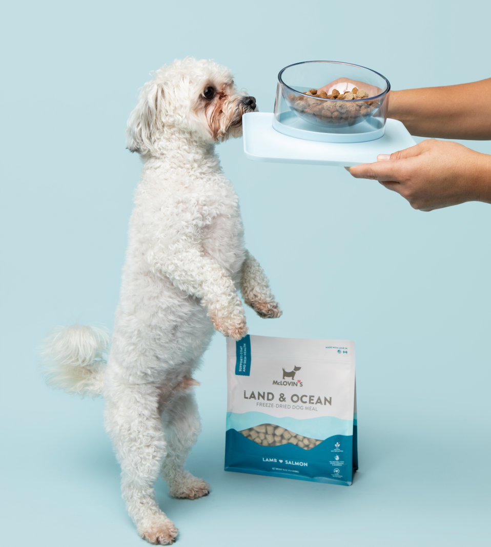 Best freeze dried dog best sale food 2019