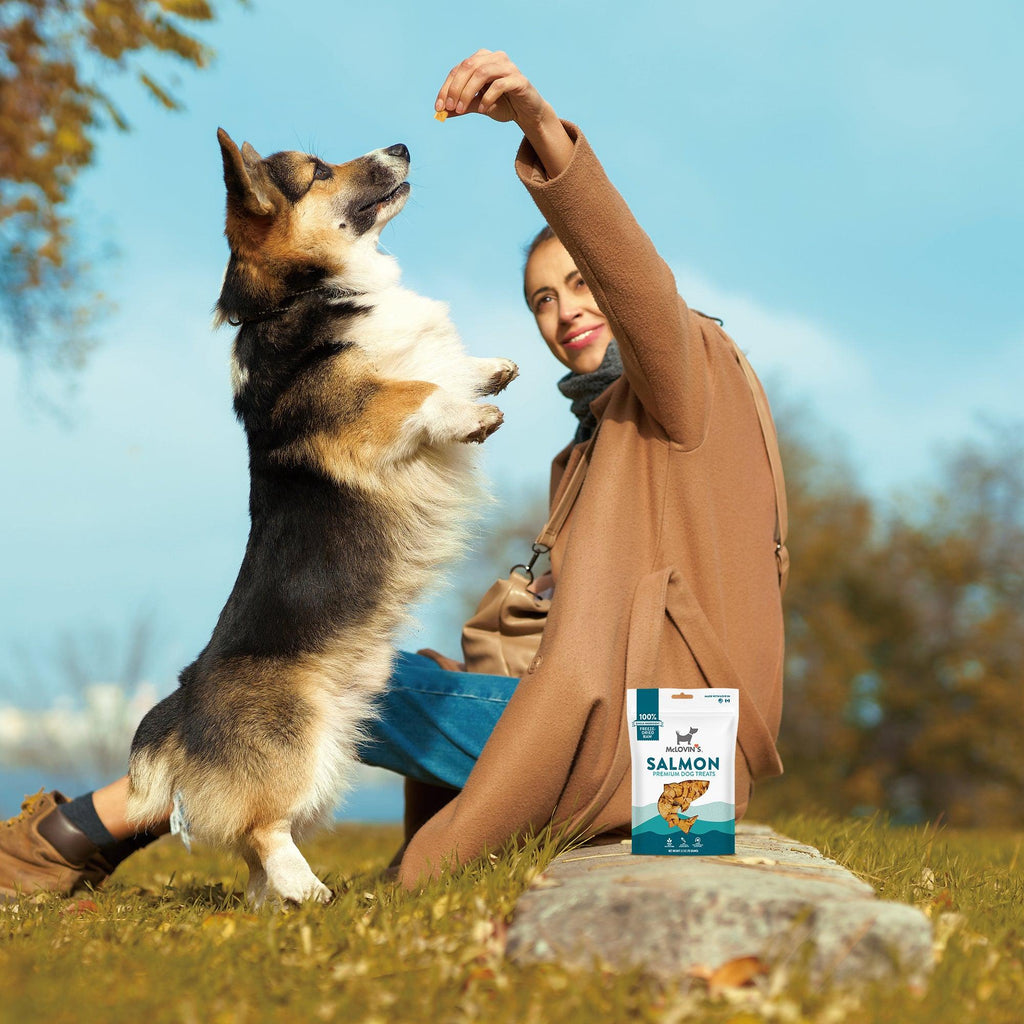 All DogsMcLovin's Premium Freeze Dried Salmon Dog Treats Single Ingredient All Natural High Protein2.5oz