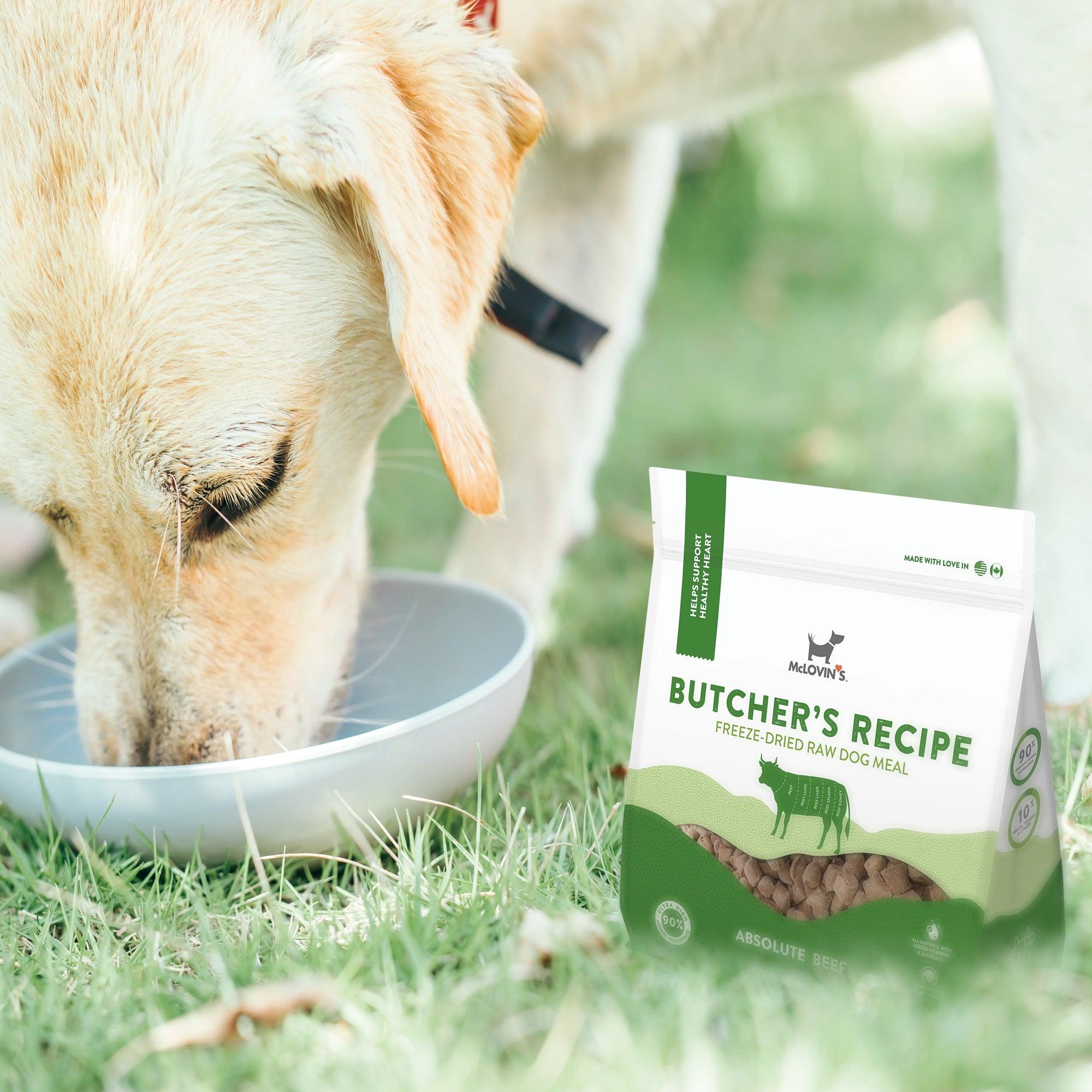 Puppy Feeding Life Abundance Dog Food Petco Natural Balance