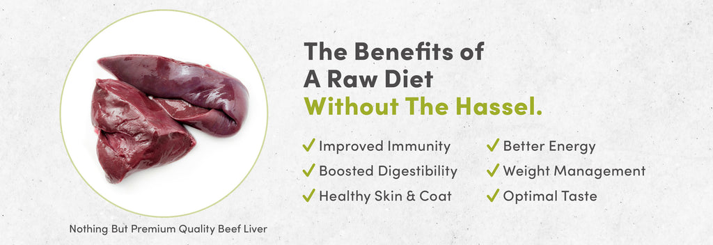 Benefit of Raw Diet