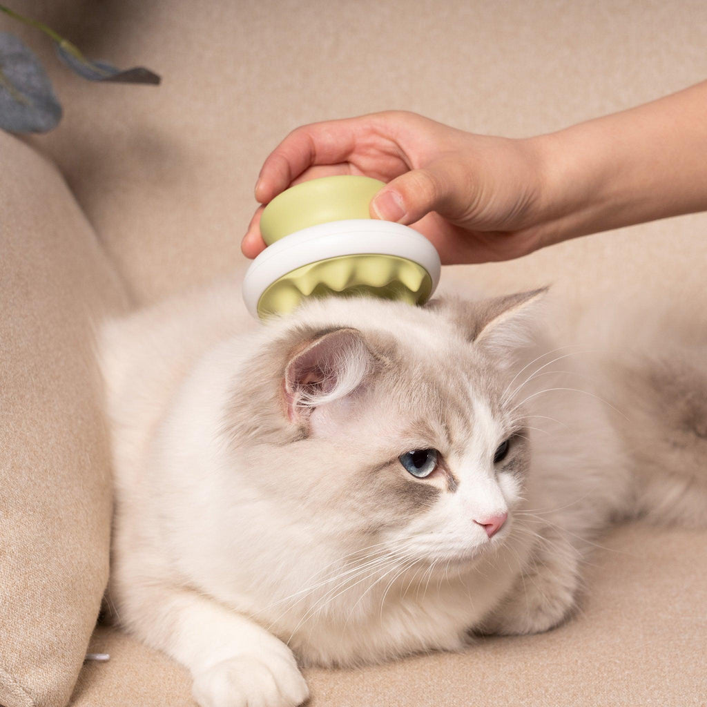 SuppliesMcLovin’s Massage Brush for Dogs and Cats