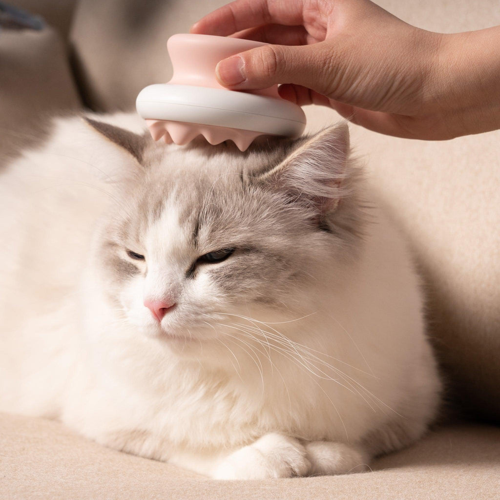 Cat MealsMcLovin’s Massage Brush for Dogs and Cats