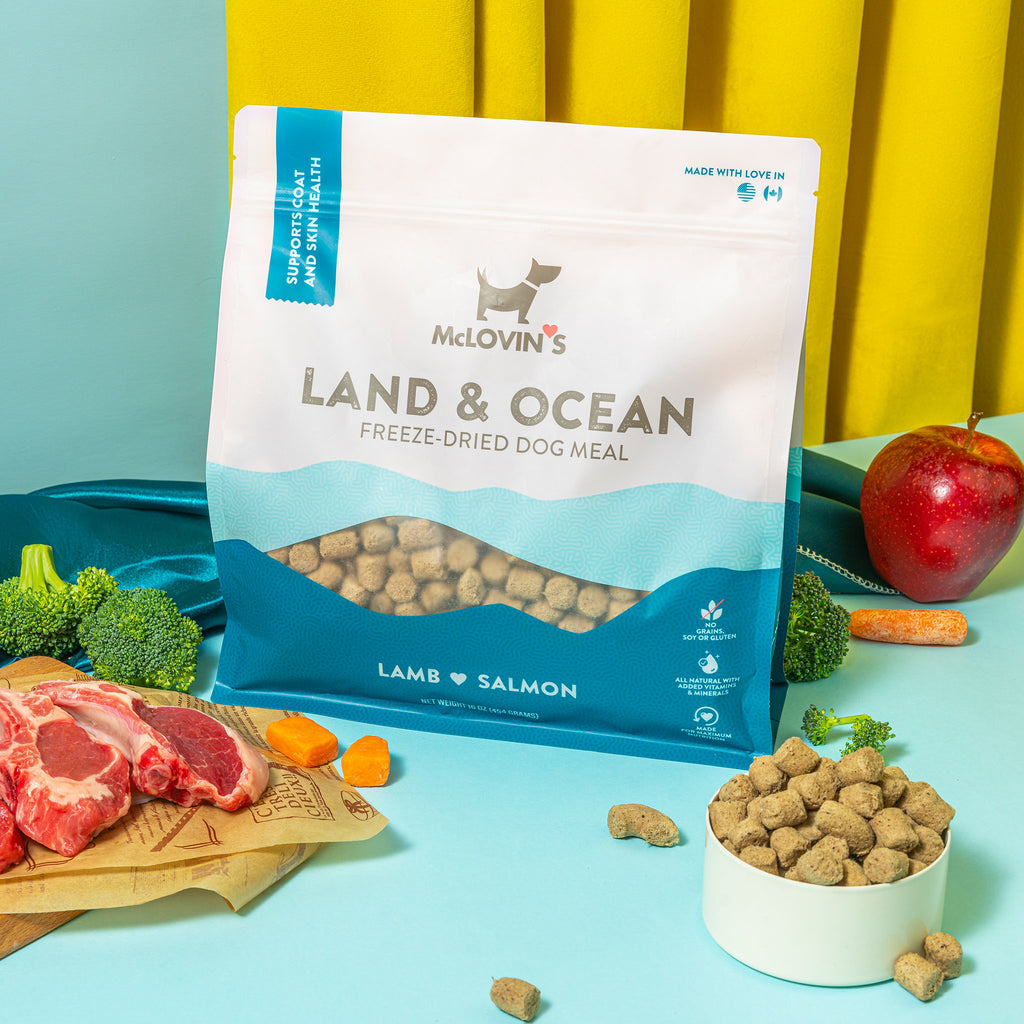 Dog Meals