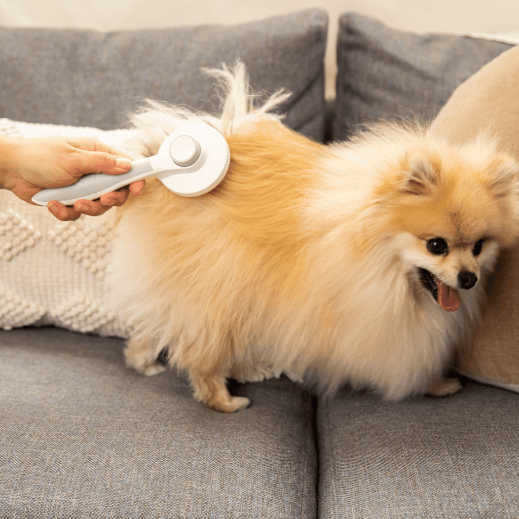 SuppliesMcLovin's Retractable Slicker Brush for Dogs and Cats