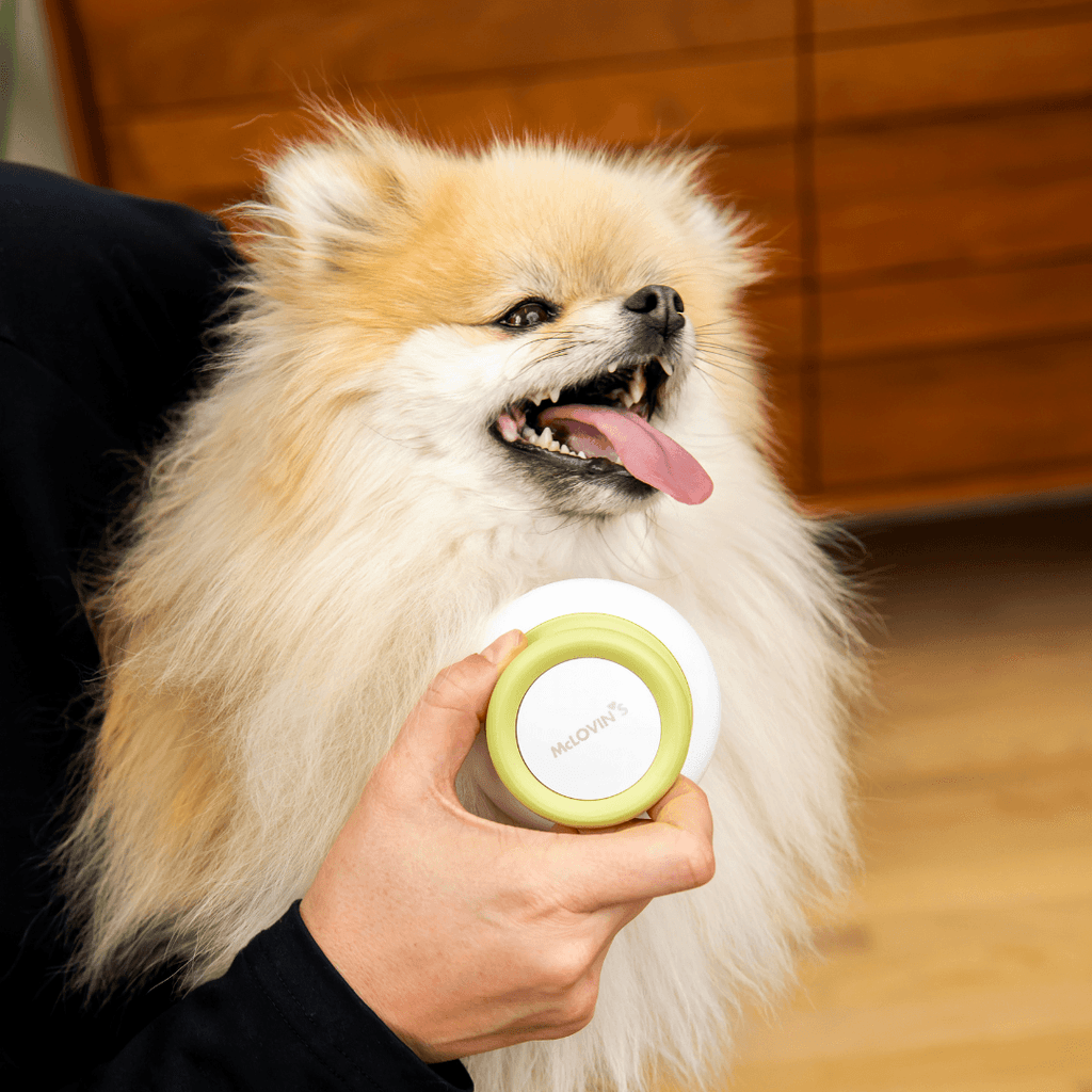 Cat MealsMcLovin’s Massage Brush for Dogs and Cats